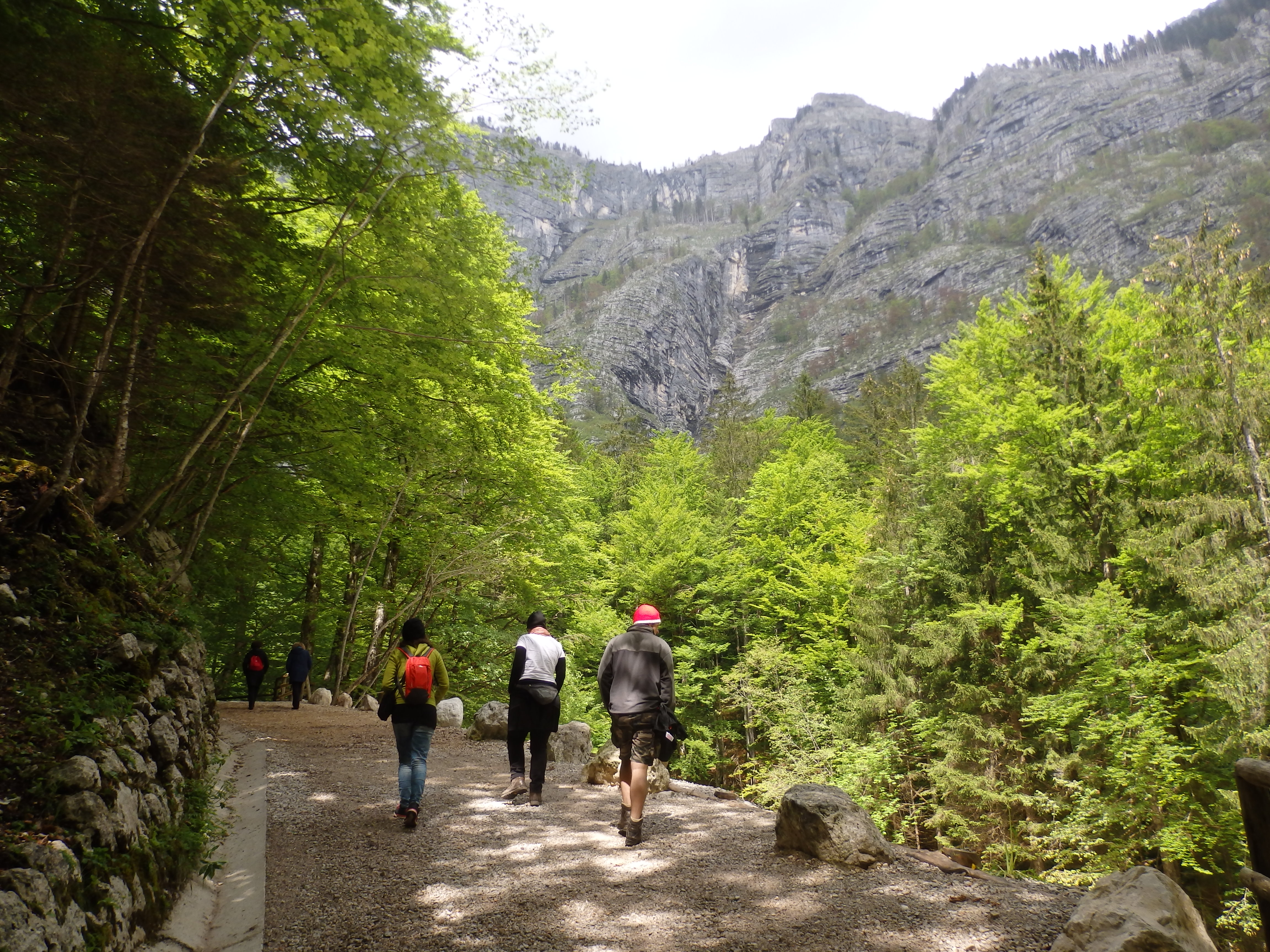 Bohinji-tó környéke